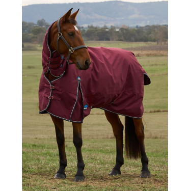Deken ComFiTec Prelim Turnout Weatherbeeta Combo 0g Bordeaux / marineblauw