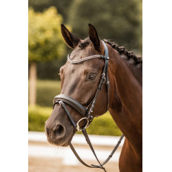 Frontdeel met strass Horze Columbia Zwart / zilver