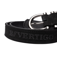 new Zwarte schoonheid