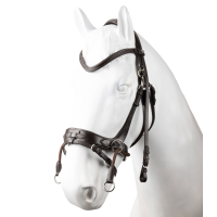 Bridon 2-en-1 Horze Montana Marron