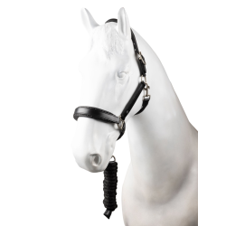 Licol en cuir et longe ensemble Horze Dynasty Noir