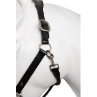 Licol en cuir et longe ensemble Horze Dynasty Noir