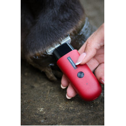 Tondeuse Liveryman Robin Trimmer