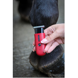 Tondeuse Liveryman Robin Trimmer Rood