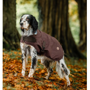 Honden deken Horseware Heritage Newmarket Bruin / marineblauw witney Honden deken Horseware Heritage Newmarket Bruin / marineblauw witney