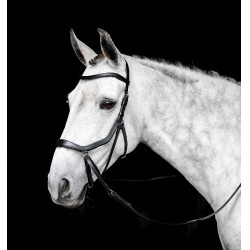 Bitloze hoofdstel Horseware Micklem Zwart