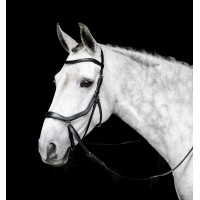 Bridon sans mors Horseware Micklem