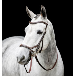 Bitloze hoofdstel Horseware Micklem Bruin