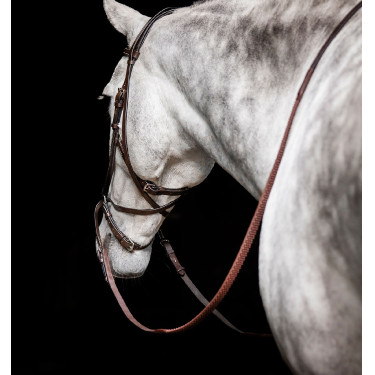 Bitloze hoofdstel Horseware Micklem Bruin