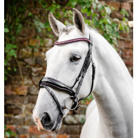 Bridon Horseware Diamante Flash Noir / rose