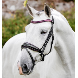 Bridon Horseware Diamante Flash Noir / rose