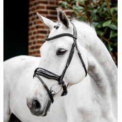Hoofdstel Horseware Diamante Flash Zwart / zwart