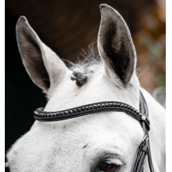 Hoofdstel Horseware Diamante Flash Zwart / zwart