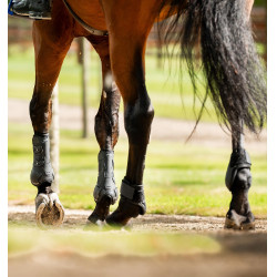 Protège-boulet Horseware® Classic Noir / noir Protège-boulet Horseware® Classic Noir / noir