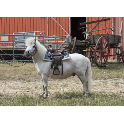 Westernzadel Westride Topeka Westernzadel Westride Topeka