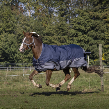 Equithème Tyrex 600 Deken met fleecevoering