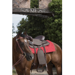 Westride Navajo tapijt katoen/acryl effen Rood