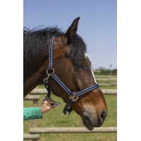 Licol Norton Grooming Zwart