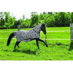 Chemise filet Riding World Combo Motif zèbre noir / blanc Multi-couleurs