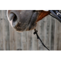 Enrênement Norton Pro Thiedeman Noir Enrênement Norton Pro Thiedeman Noir