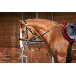 Gogue à poulies Norton Pro Noir