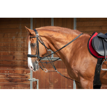 Gogue à poulies Norton Pro Noir