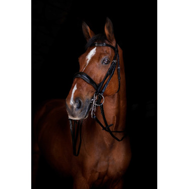 Rênes de bride Eric Thomas Elite 13 mm Noir