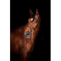 Teugels Hunter Eric Thomas Elite 16 mm Havana Bruin