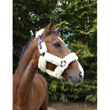 Halster Equithème Teddy Marine / écru → Marine / ecru Blauw