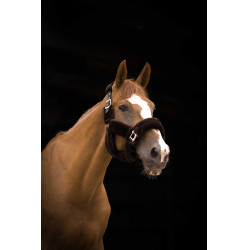 Halster Equithème Teddy Zwart / bruin