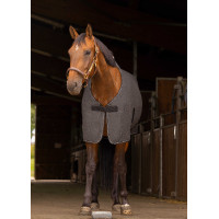 Chemise Equithème Chiné Gris chiné