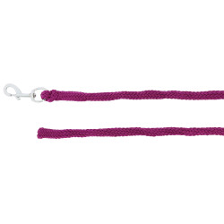 Longe d'attache Norton 2,5 m Lavande Violet