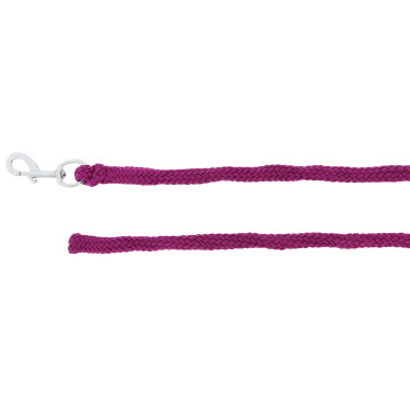 Longe d'attache Norton 2,5 m Lavande Violet