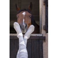 Chaussettes Equithème Girly Marine / ciel Bleu
