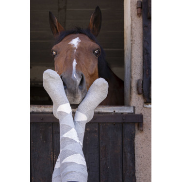 Sokken Equithème Girly Grijs / hemelblauw