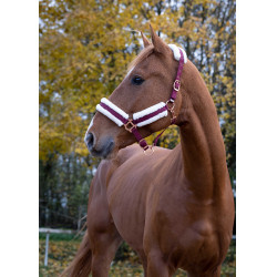 Licol Norton Confort Bordeaux Licol Norton Confort Bordeaux