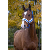 Licol Norton Confort Bleu marine