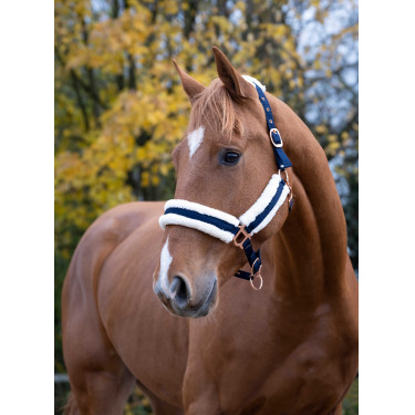 Licol Norton Confort Bleu marine