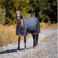 Waterdichte Oxford-deken Riding World Zwart