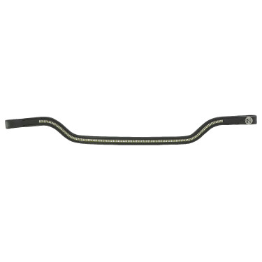 Frontal Norton Pro  Shape Noir / vert