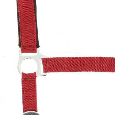 Licol Norton nylon doublé néoprène Rouge