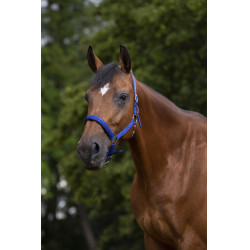 Halster Norton nylon gevoerd met neopreen Koningsblauw