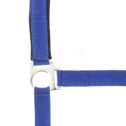 Halster Norton nylon gevoerd met neopreen Koningsblauw