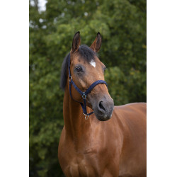 Halster Norton nylon gevoerd met neopreen Marineblauw