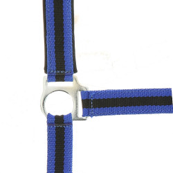 Licol Norton nylon doublé néoprène Bleu roi / noir