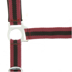 Halster Norton nylon gevoerd met neopreen Bordeaux / zwart
