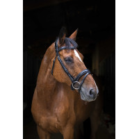 Bridon Eric Thomas Pro Wave Zwart