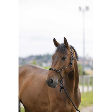 Ethologisch halster Norton + leadrope Eco Zwart / wit / zilver