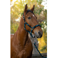Halster + lijn Equitheme Gevlochten Turkoois / marine / zwart Blauw