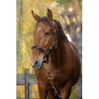 Halster + lijn Equitheme Gevlochten Turkoois / marine / zwart Blauw